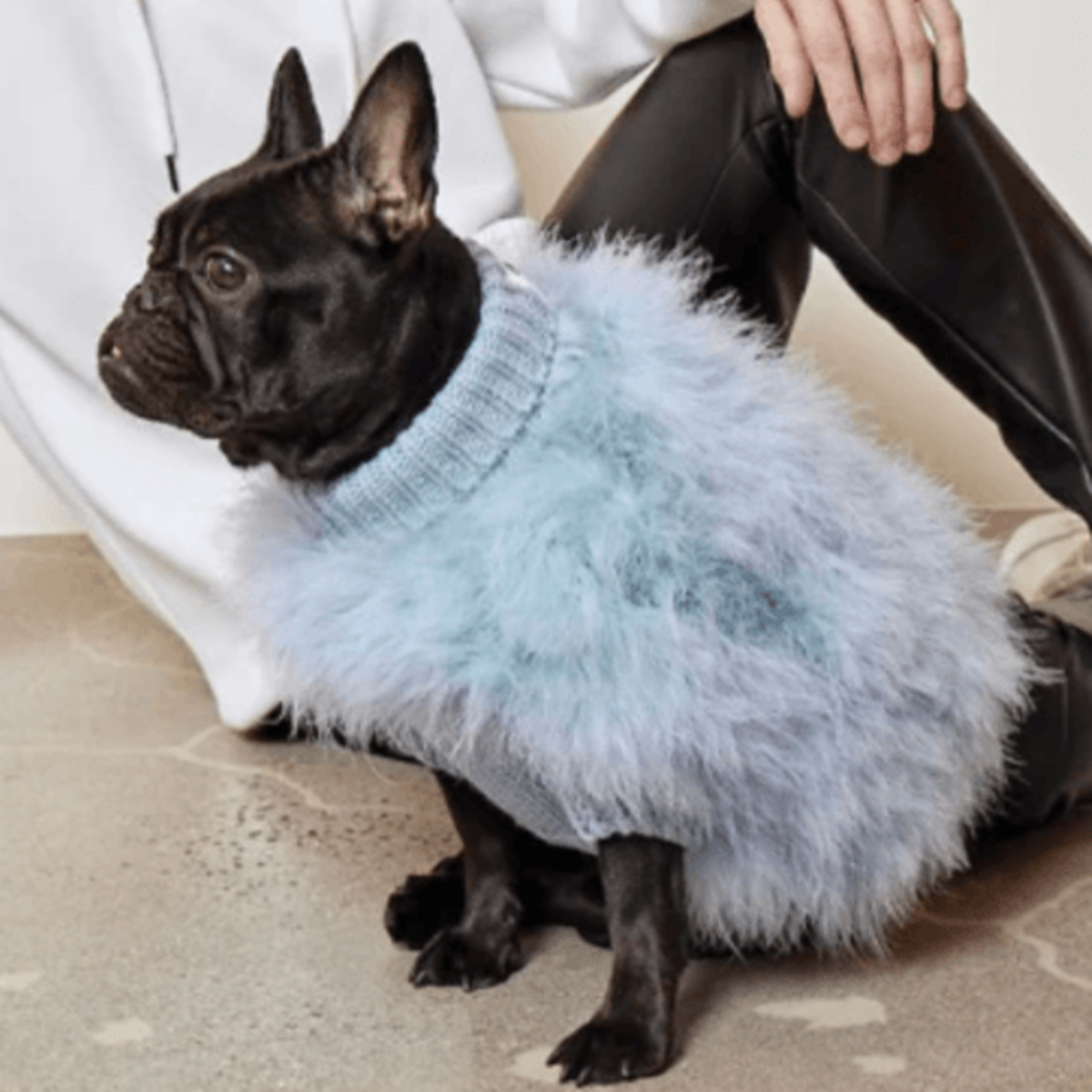 What to Get the Person Whose Pet Is Their Entire Personality