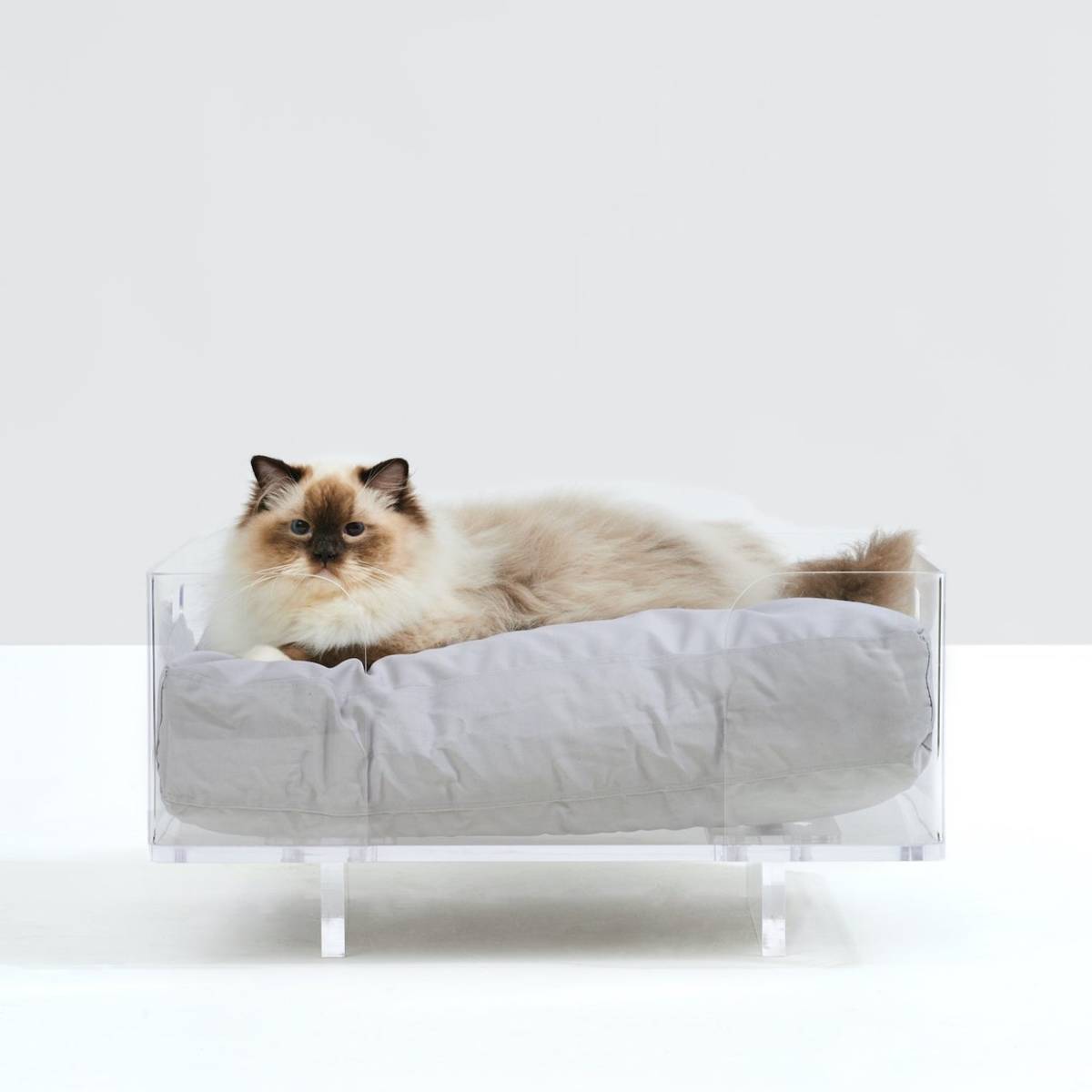What to Get the Person Whose Pet Is Their Entire Personality