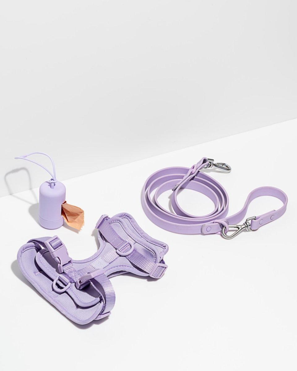 What to Get the Person Whose Pet Is Their Entire Personality