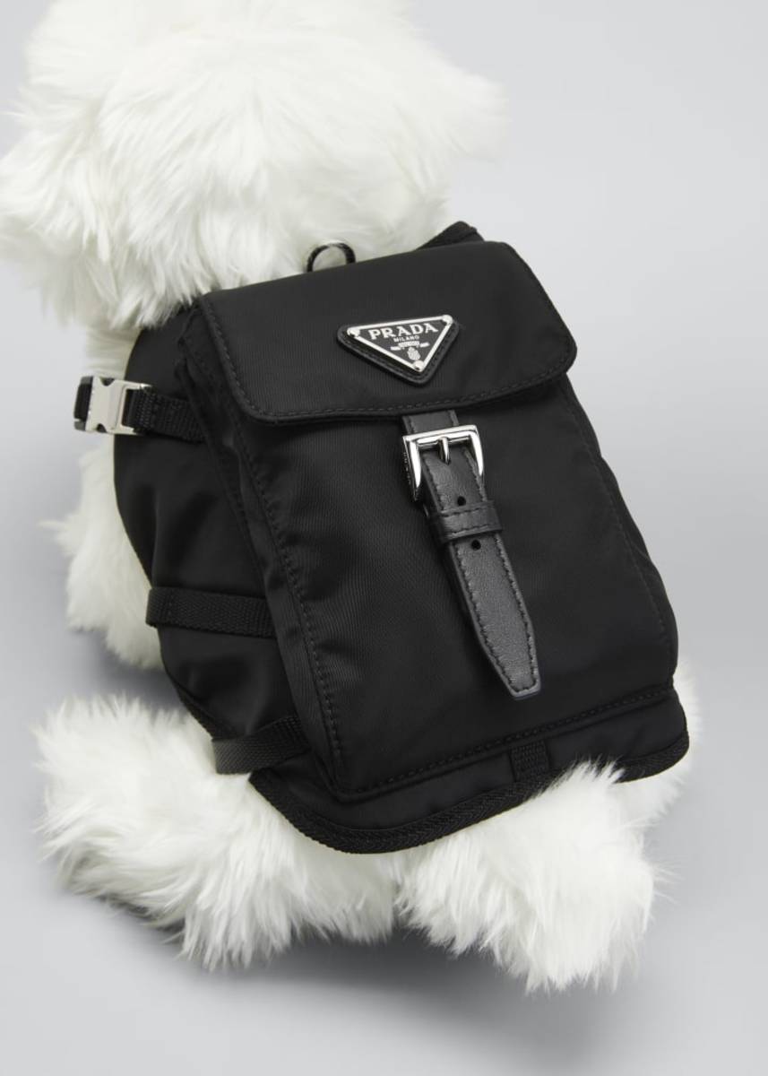 What to Get the Person Whose Pet Is Their Entire Personality