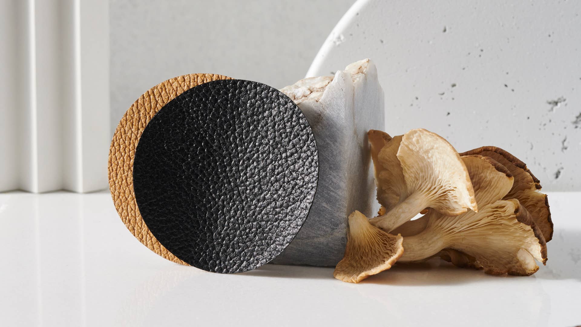 The Next Generation of Leather Alternatives - Vimarsana News