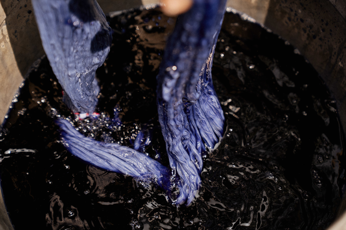 Indigo is first used as a cover crop, then used to dye garments during the production process.