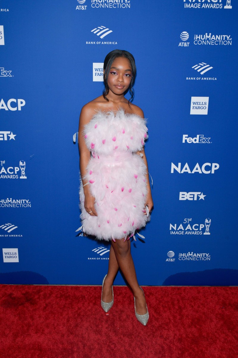 Wearing Pamella Roland at the 2020 NAACP Image Awards.