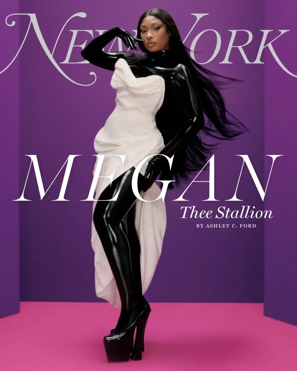megan thee stallion the cut cover