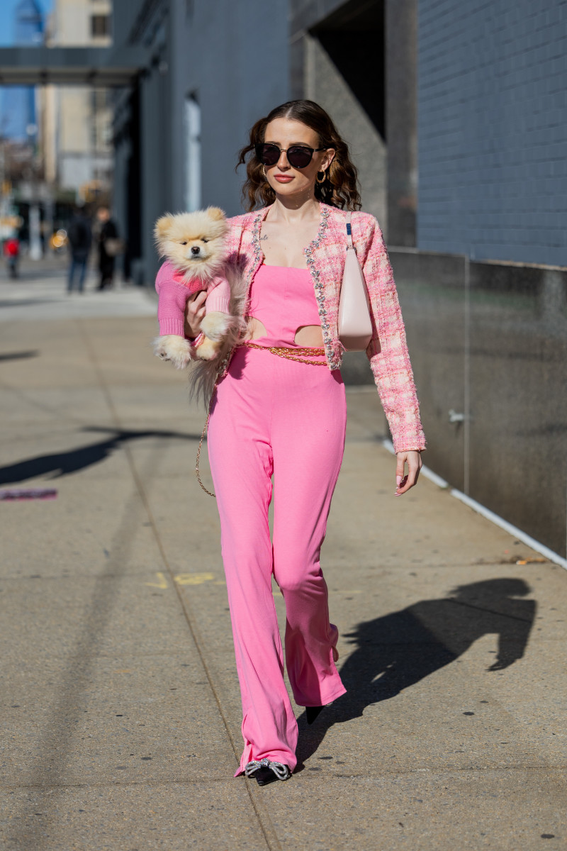 Street style spring outfit - chihuahua in 2023