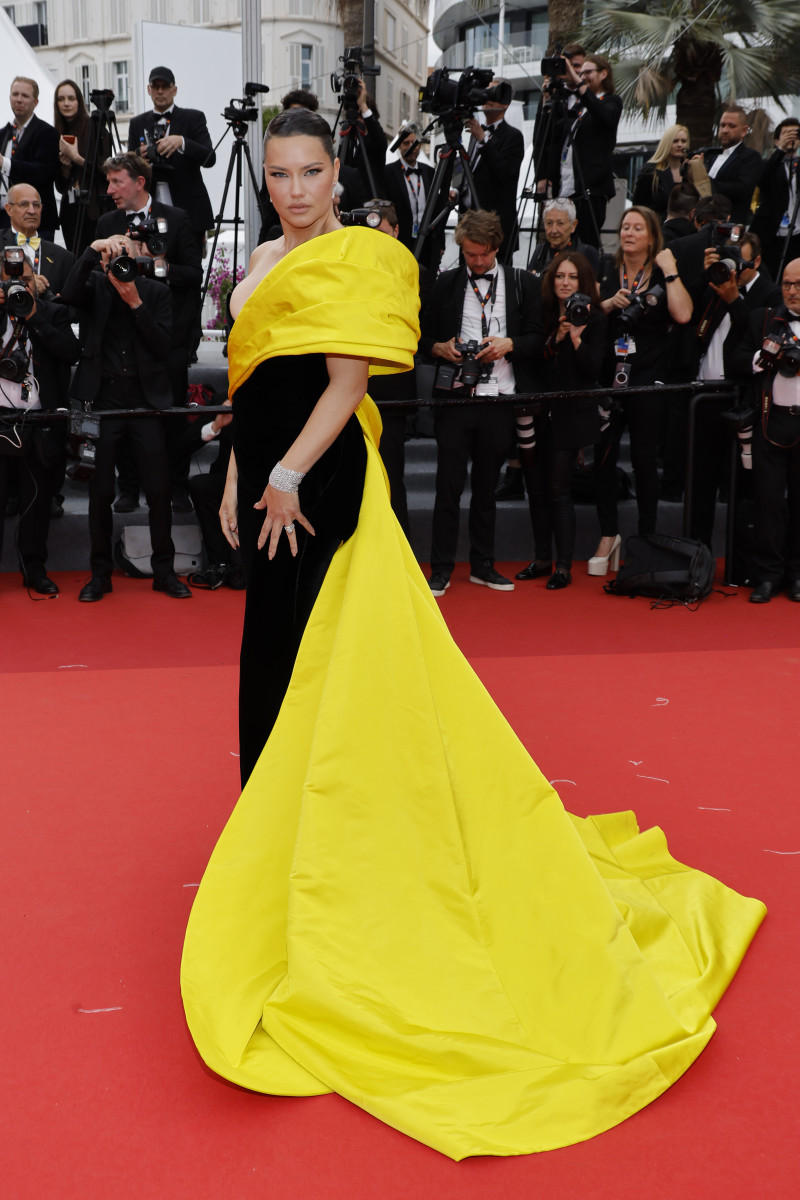 The Best Looks From the 2023 Cannes Film Festival - Fashionista