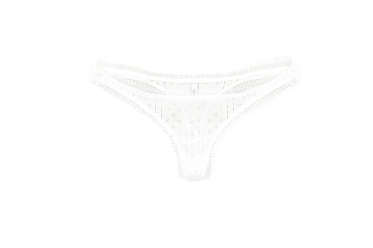 Hanes Cotton Women's Bikini Panties: A Surprisingly Ethical Choice