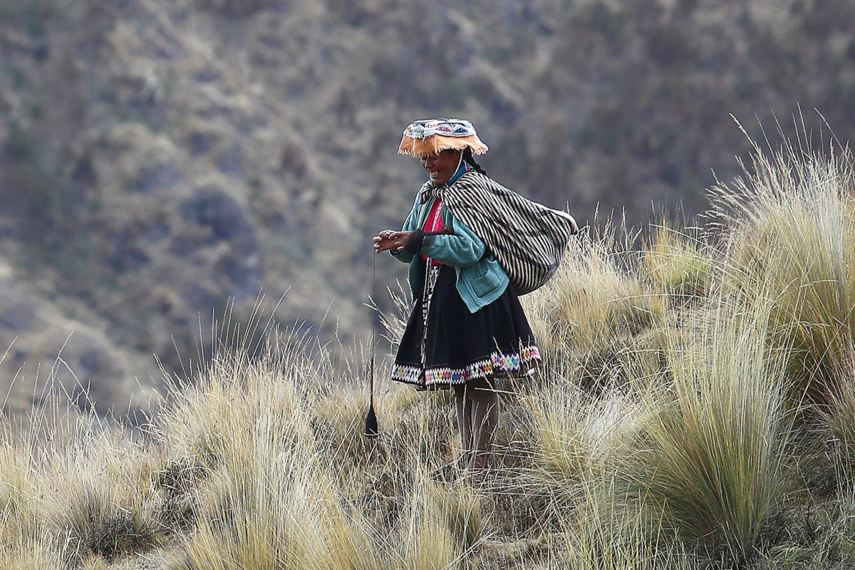 Alpaca Fiber & Wool Process – Threads of Peru